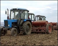 Аграрии Могилёвской области засеяли озимыми зерновыми более 210 тыс.га.